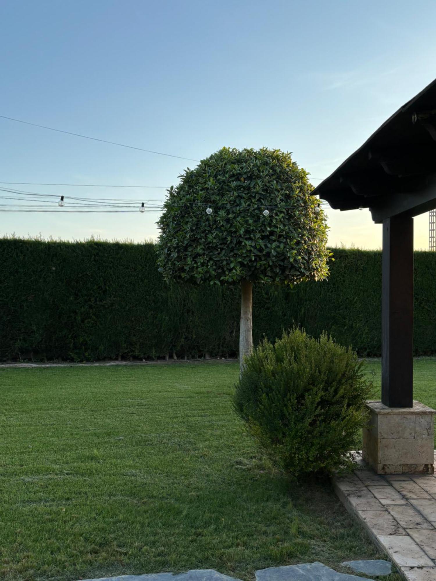 Villa Casa Joan Elx Esterno foto
