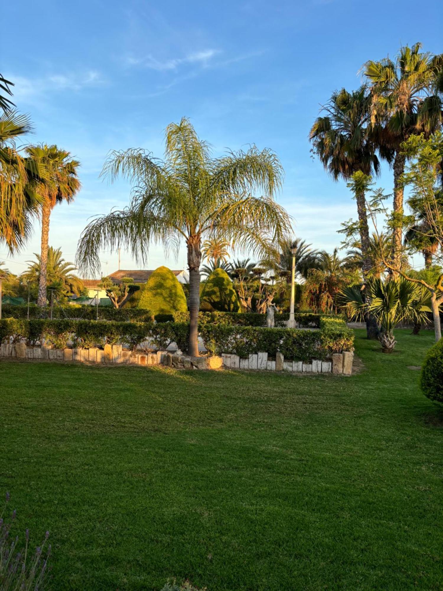 Villa Casa Joan Elx Esterno foto