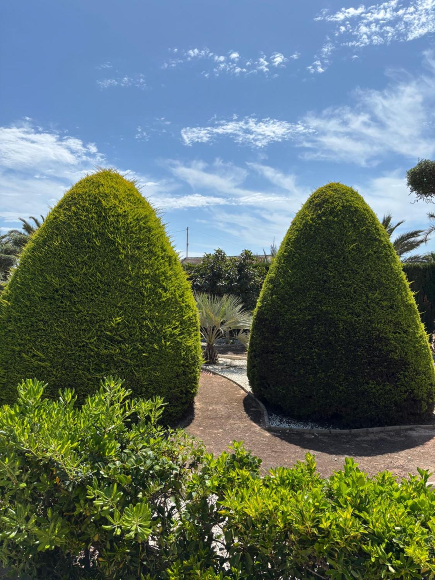 Villa Casa Joan Elx Esterno foto